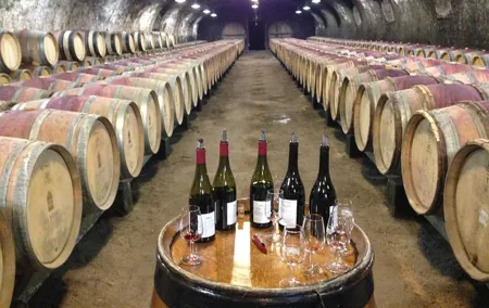 Beaujolais Crus Wines & Castles (2:00 pm - 6:30 pm) - Small Group Tour from Lyon