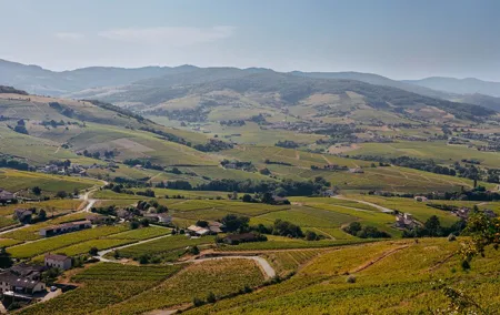 Beaujolais Private Day Tour with Tastings from Lyon