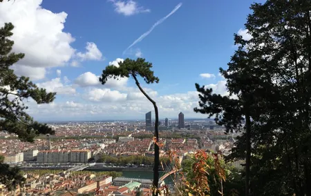 Guided tour of the Basilica of Fourvière and Gallo-Roman site of Lyon