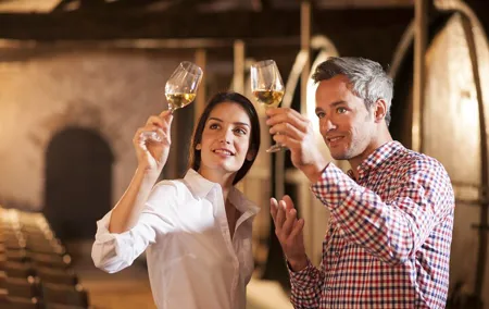Half-day Private Wine Tour of the Northern Rhone Valley from Lyon