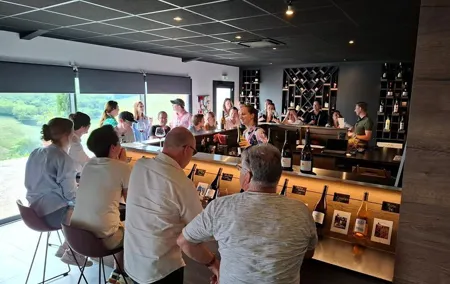 Beaujolais wine route, private tour from Lyon