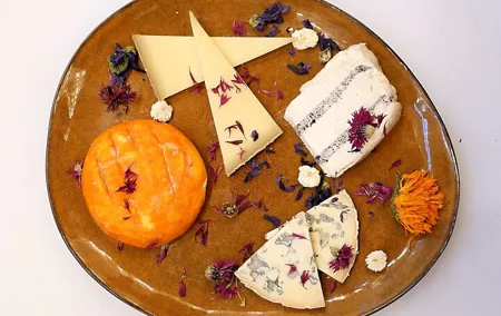 Discover French cheese, amazing wines and surprising pairings!