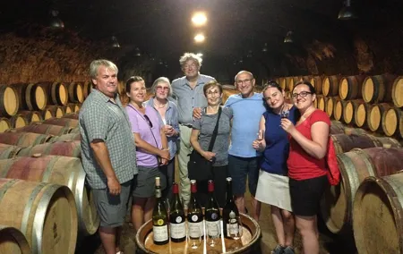 Beaujolais Crus Wines & Castles (9:00 am - 1:30 pm) - Small Group Tour from Lyon