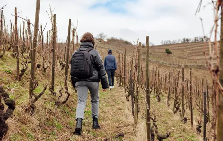 Private Wine and Hiking in Hermitage from Lyon with wine tasting