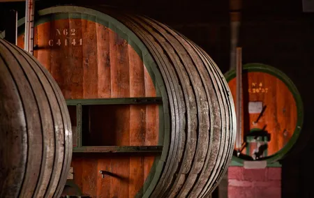 Tasting and Chais Tour