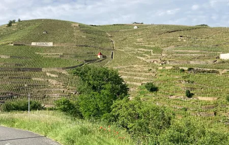 Guided Tour of the Coteaux Côte Rôtie for Parents and Children Duos