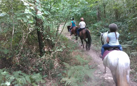 Special children's ride - relaxation and fun for children guaranteed