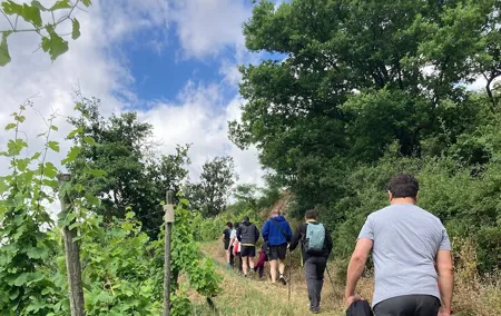 Hiking and Wine between Côte-Rôtie and Condrieu