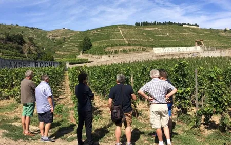 Cotes du Rhone Wine Tour - Private Tour - Full Day From Lyon