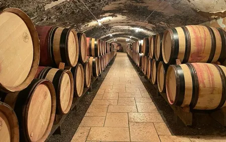 Wine tour - Domaine E.GUIGAL Wine cellar visit and tasting