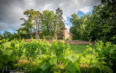 Custom Planned Beaujolais Vineyard Tour - Private Driver - Lyon