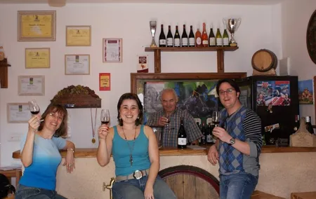 Beaujolais Wine Discovery - Private Tour - Half Day