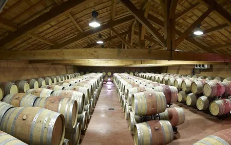 Half-Day Cotes du Rhone Private Wine Tour from Lyon