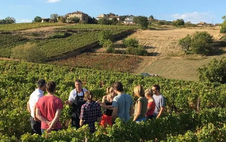 Beaujolais & Perouges Medieval Town - Private Tour - Full Day from Lyon