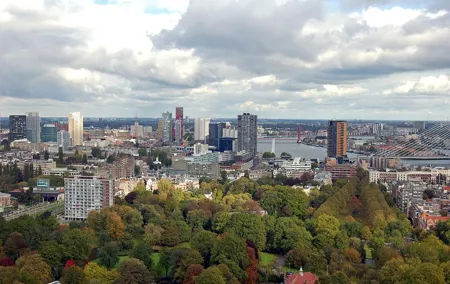 Rotterdam Private Walking Tour with a Local