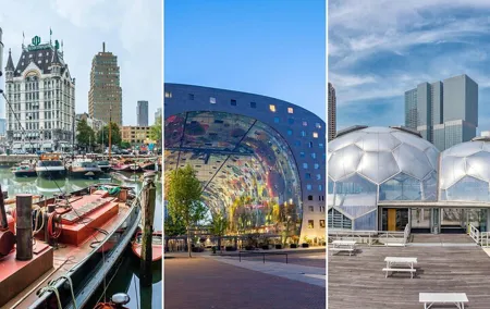 Rotterdam 2-Hour Guided Walking Tour