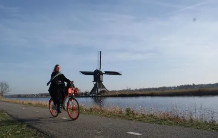 Kinderdijk Area Cycling Tour