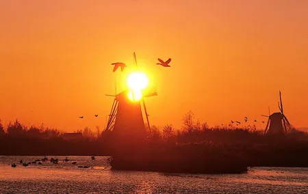 Kinderdijk Photography tour