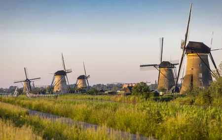 Kinderdijk, Delft and The Hague Private Tour from Rotterdam