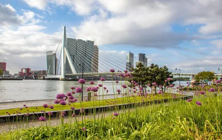 Discover Rotterdam’s most Photogenic Spots with a Local