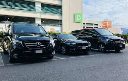 Private Transfer from Rotterdam Cruise Port to Rotterdam hotels