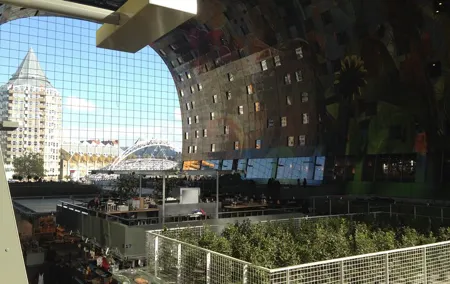 Private architecture tour of Rotterdam