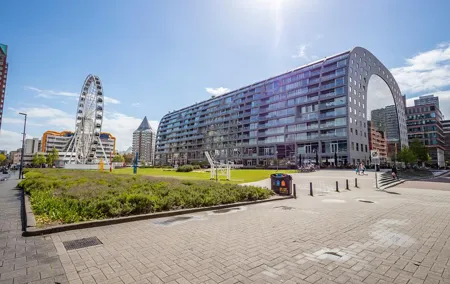Best Intro Tour of Rotterdam with a Local