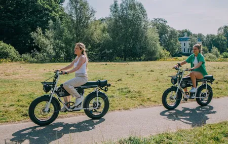 Electric Fatbike Full Day Rental in Breda