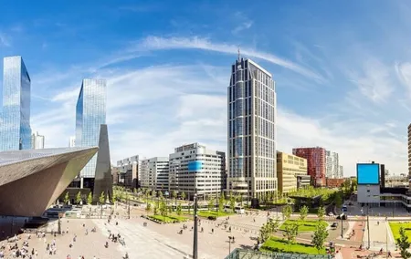 Rotterdam Must-See Attractions Walking Tour With A Guide