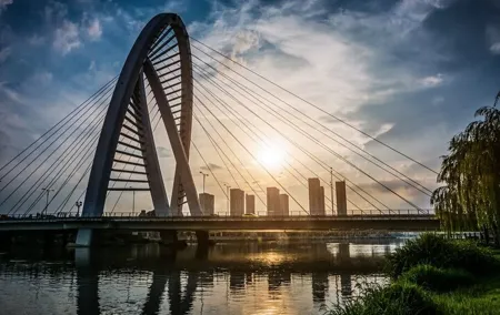 Rotterdam Highlights Private Bike Tour with a Guide
