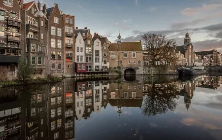 Explore Rotterdam’s history and architecture on private walking tour