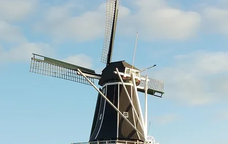 Haarlem Walking Tour. Unknown and Surprising