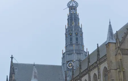 Delightful Haarlem