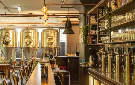 Eindhoven Fun Craft Beer Self-guided City Tour