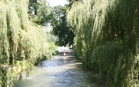 City Walk + English Garden and Colorful History + Culture in the City Center