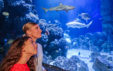 SEA LIFE Munich Admission Ticket