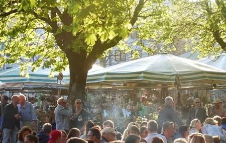 Self-Paced Audio Guide to Munich's Cafés and Culinary Highlights