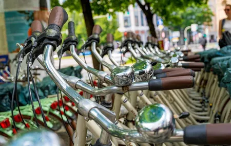 Cycling tour with English garden and Isar floodplains for private groups