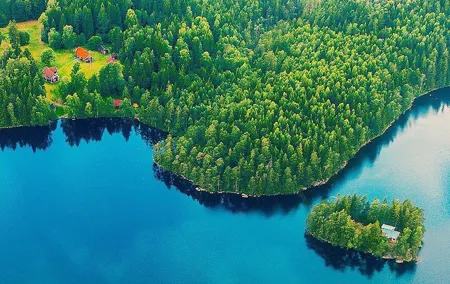 Private Half-Day Swedish Nature Experience