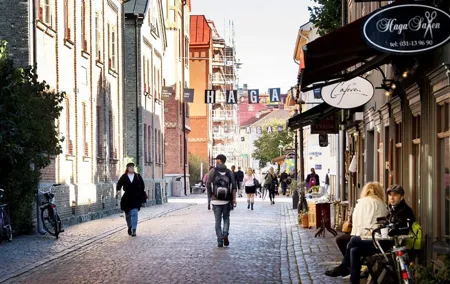 Haga Sightseeing Tour