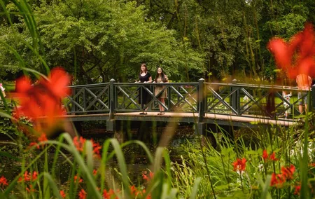 Hire Photographer, Professional Photo Shoot - Gothenburg