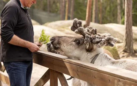 Reindeer Park Adventure