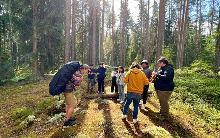 Mushroom Hunting in a National Park