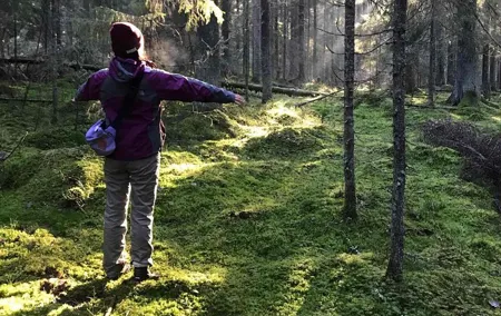 Hiking tour in Nuuksio National Park with meal and snacks