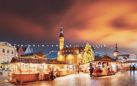 Private Day Trip to Tallinn from Helsinki – Premium Experience