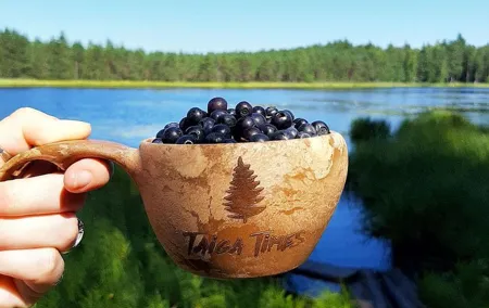 Berry Picking in a National Park