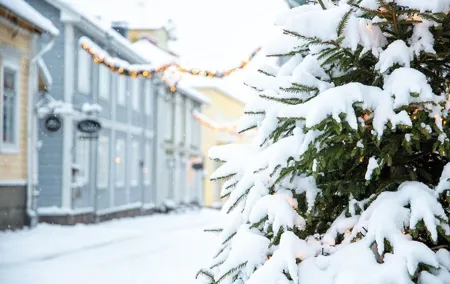 Porvoo's Christmas Magic and Traditions Private Tour
