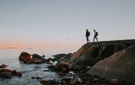 Helsinki Archipelago Forest Bathing Experience