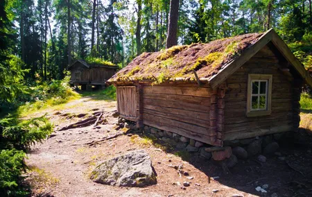 Helsinki and Seurasaari Open-Air Museum Private Tour