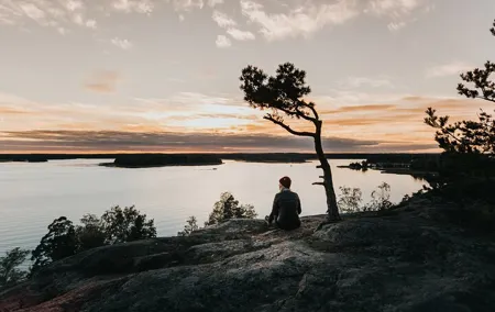 Helsinki Forest Bathing Escape – From City to Serenity